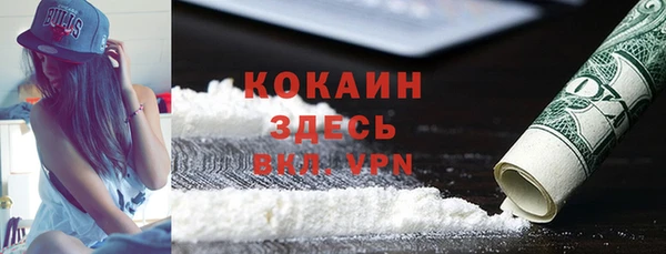 стаф Абаза