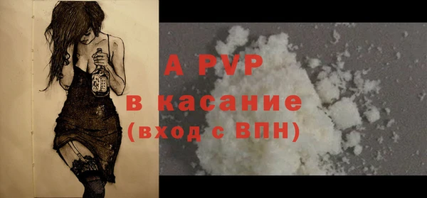 стаф Абаза