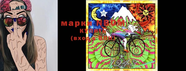 стаф Абаза