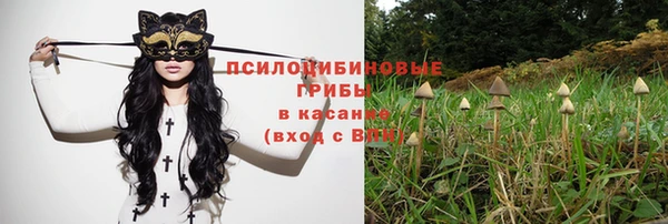 стаф Абаза