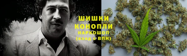 стаф Абаза