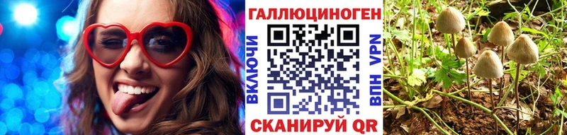 Псилоцибиновые грибы ЛСД  сайты даркнета состав  Власиха 